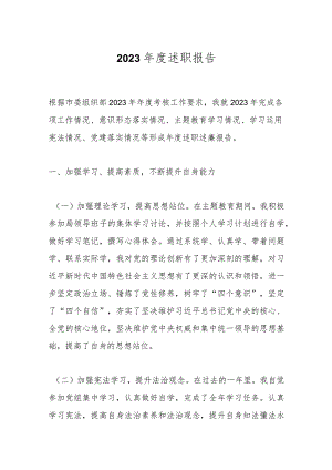 2023年度述职报告.docx