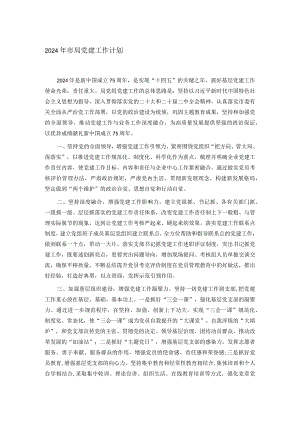 2024年市局党建工作计划.docx