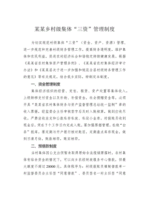 某某乡村级集体“三资”管理制度.docx