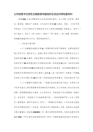 公司党委书记党性主题教育专题组织生活会对照检查材料.docx