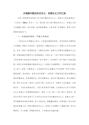 乡镇集中整治形式主义、官僚主义工作汇报.docx