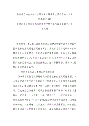 县政府办公室主任在主题教育专题民主生活会上的个人发言提纲(三篇).docx