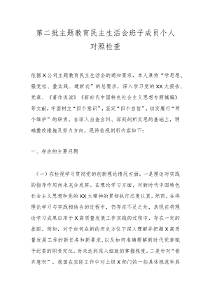 第二批主题教育民主生活会班子成员个人对照检查.docx