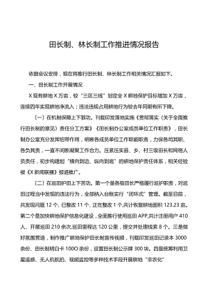 田长制、林长制工作推进情况报告.docx