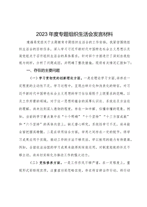 2023年度专题组织生活会发言材料.docx