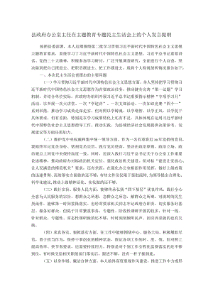 县政府办公室主任在主题教育专题民主生活会上的个人发言提纲.docx