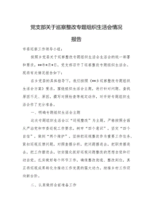 党支部关于巡察整改专题组织生活会情况报告.docx