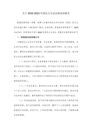 关于2022-2023年度民主生活会情况的报告.docx