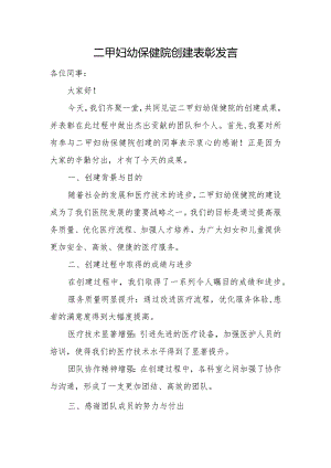 二甲妇幼保健院创建表彰发言.docx