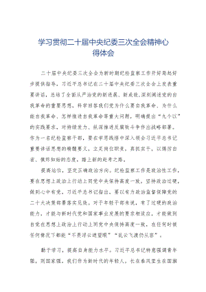学习贯彻《二十届中央纪委三次全会》精神心得体会十九篇.docx