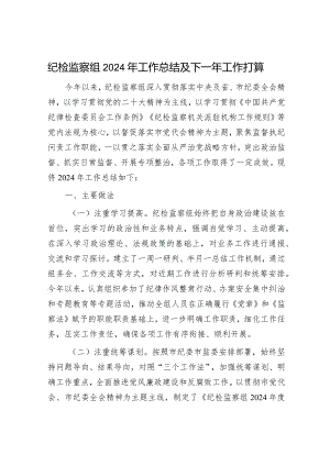 纪检监察组2024年工作总结及下一年工作打算（精选两篇合辑）.docx
