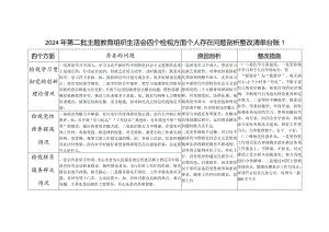 2023年2月党员干部检视学习贯彻党的创新理论、党性修养提高、联系服务群众、发挥先锋模范作用情况四个方面存在问题整改清单台账2篇.docx