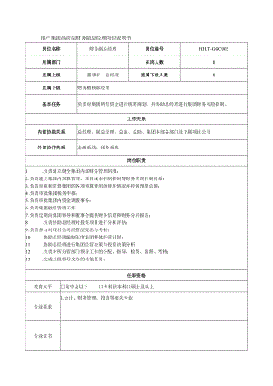 地产集团高管层财务副总经理岗位说明书.docx