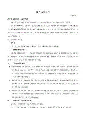 体系运行报告.docx