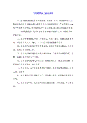电动葫芦安全操作规程.docx
