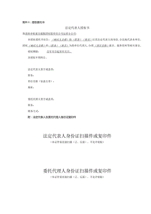 授权委托书法定代表人授权书.docx