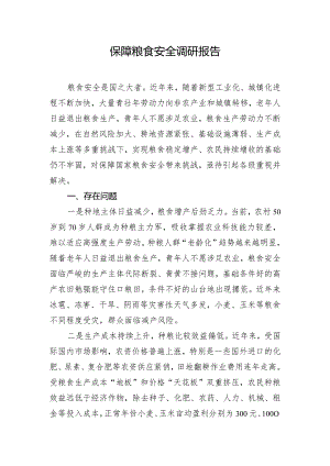 保障粮食安全调研报告.docx