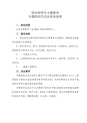 团员和青年主题教育专题组织生活会基本流程.docx