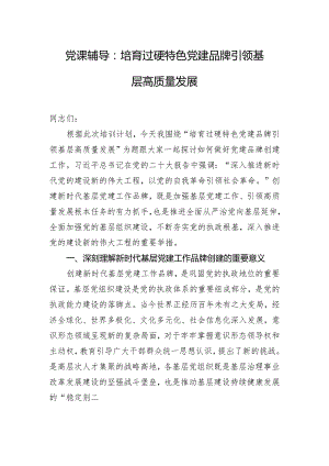 党课辅导：培育过硬特色党建品牌 引领基层高质量发展.docx