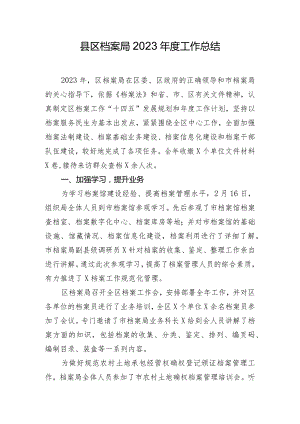 县区档案局2023年度工作总结.docx