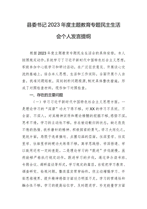县委书记2023年度主题教育专题民主生活会个人发言提纲.docx