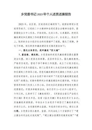 乡党委书记2023年个人述责述廉报告.docx
