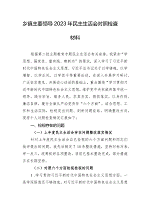 乡镇主要领导2023年民主生活会对照检查材料.docx