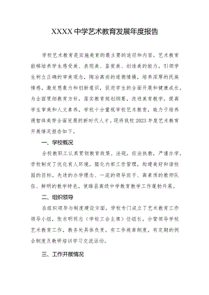 中学艺术教育发展年度报告.docx