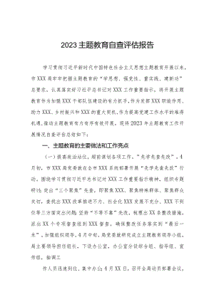关于2023年第二批主题教育开展情况自查评估报告.docx