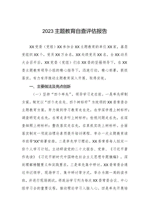 主题教育自查评估报告.docx