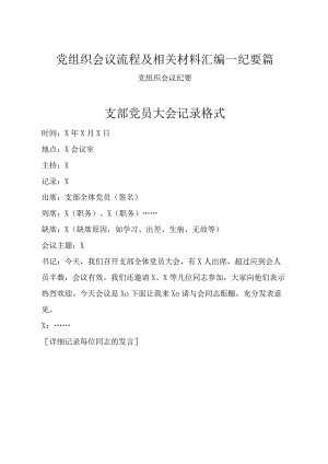 党组织会议流程及相关材料汇编—纪要篇.docx