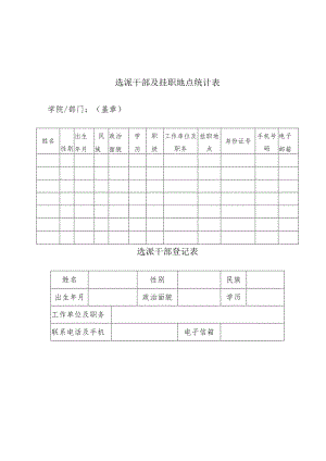 选派干部及挂职地点统计表.docx