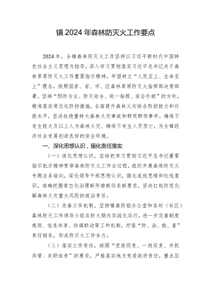 镇2024年森林防灭火工作要点.docx