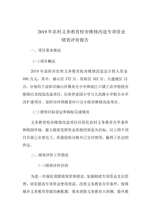 2019年农村义务教育校舍维修改造专项资金绩效评价报告.docx