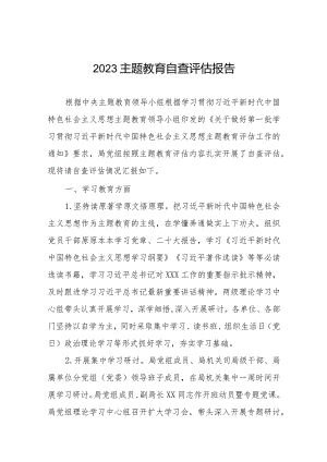 第二批主题教育开展情况自查评估报告.docx