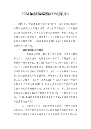2023年度抓基层党建工作述职报告.docx