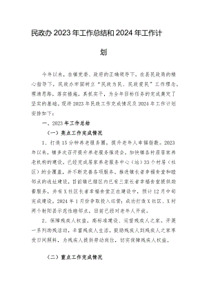 民政办2023年工作总结和2024年工作计划.docx