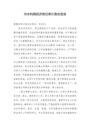 市水利局经济责任审计表态发言.docx