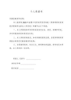 个人承诺书.docx
