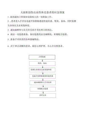 大面积创伤出血性休克患者的应急预案.docx