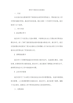 领导干部培训总结报告.docx