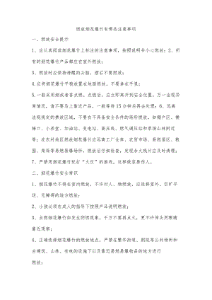 燃放烟花爆竹有哪些注意事项.docx