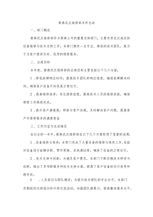 紫燕武汉维修部年终总结.docx