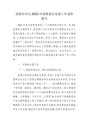 党组织书记2023年度抓基层党建工作述职报告.docx