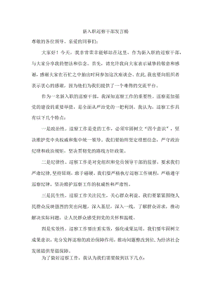 新入职巡察干部发言稿.docx
