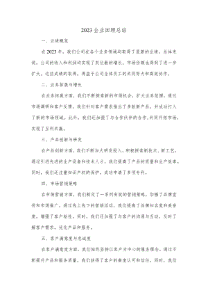 2023企业回顾总结.docx