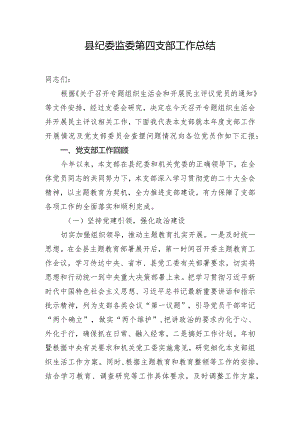 县纪委监委第四支部工作总结.docx