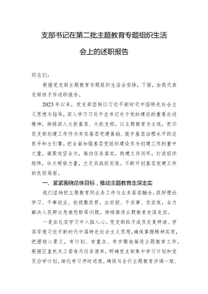 支部书记在第二批主题教育专题组织生活会上的述职报告.docx