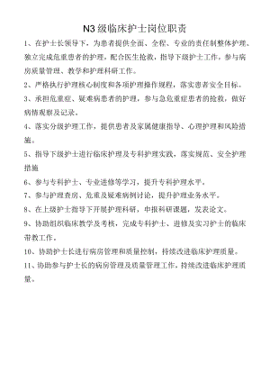 N3级临床护士岗位职责.docx