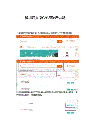 滨海通办操作流程使用说明.docx